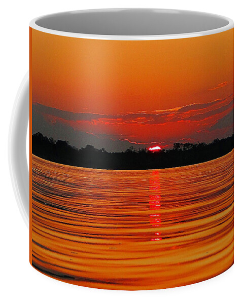 Amazon River Coffee Mug featuring the photograph Amazon Gold by Blair Wainman