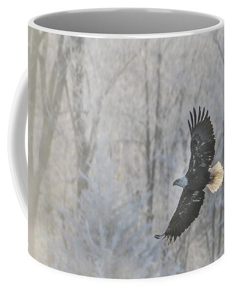 American Bald Eagle Coffee Mug featuring the photograph American Bald Eagle 2017-2 by Thomas Young