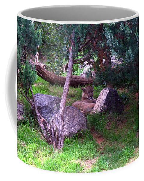 James Smullins Coffee Mug featuring the photograph American Cougar by James Smullins