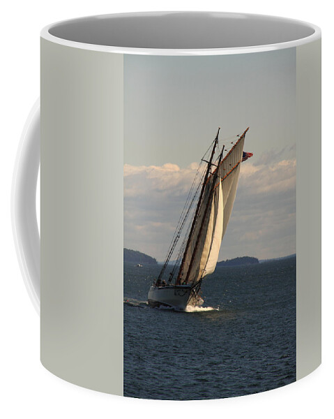 Seascape Coffee Mug featuring the photograph American Eagle In A Good Wind by Doug Mills