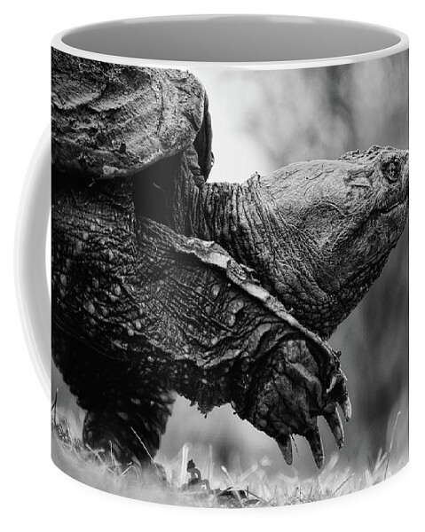 Critters Coffee Mug featuring the photograph American Gamera by Neil Shapiro