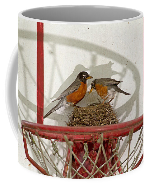 Robin Coffee Mug featuring the photograph American Robin Pair At Nest by Kenneth M. Highfill