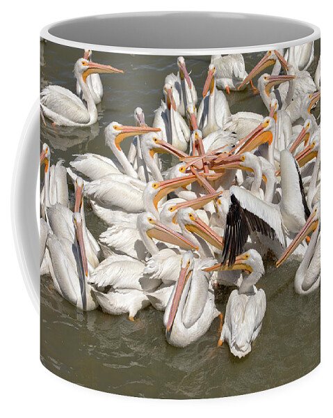 Pelicans Coffee Mug featuring the photograph American White Pelicans by Eunice Gibb