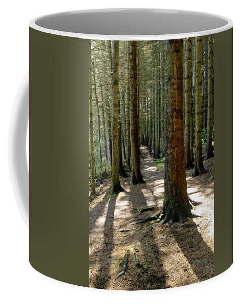 Beecraigs Coffee Mug featuring the photograph Among forest trunks by Elena Perelman