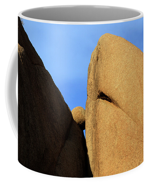 Joshua Tree National Park Coffee Mug featuring the photograph Amongst Giants by Bob Christopher