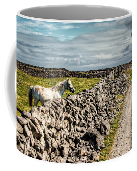 Aran Islands Coffee Mug featuring the photograph An Aran Horse by Natasha Bishop