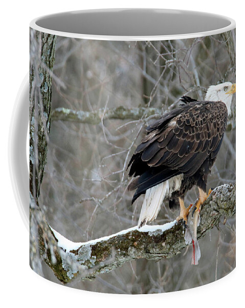 Bald Eagle Coffee Mug featuring the photograph An Eagles Catch by Brook Burling