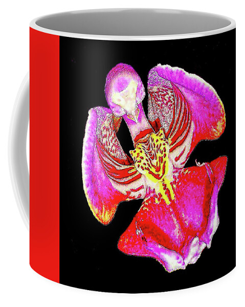 Orchid Coffee Mug featuring the photograph An Orchid's Pearl by Don Mercer