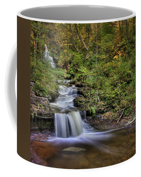 Fall Coffee Mug featuring the photograph ...And Down It Goes... by Evelina Kremsdorf