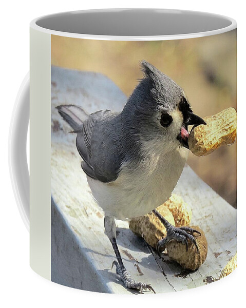 Tufted Titmouse Coffee Mug featuring the photograph And I'll Save This One for Later by Linda Stern