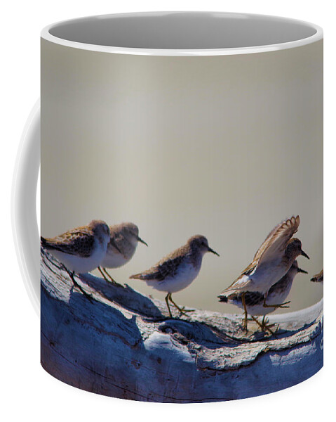 Birds Coffee Mug featuring the photograph And one piper launches by Jeff Swan