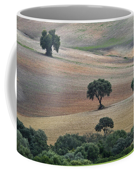 Landscape Coffee Mug featuring the photograph Andalusian Landscape by Heiko Koehrer-Wagner