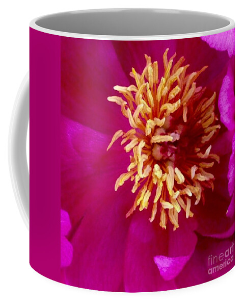 Beauty Coffee Mug featuring the photograph Anemone by Denise Railey