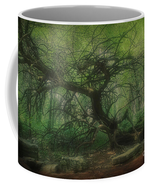 Angel Tree Coffee Mug featuring the photograph Angel Oak Tree - Arrington Vineyard by Luther Fine Art