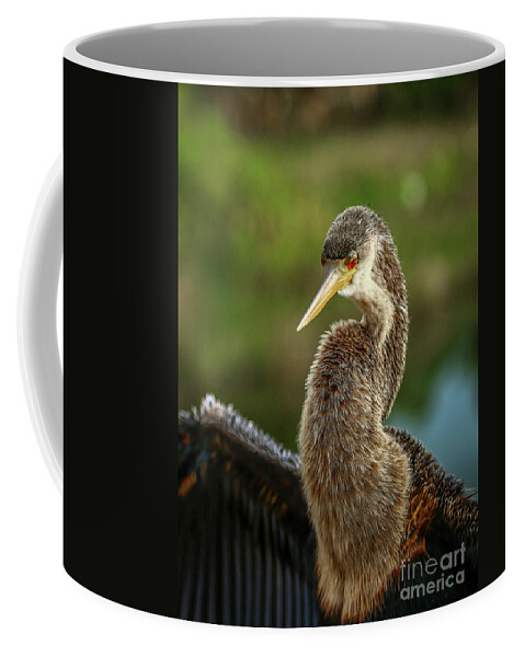 Anhinga Coffee Mug featuring the photograph Anhinga Close-Up #2 by Tom Claud
