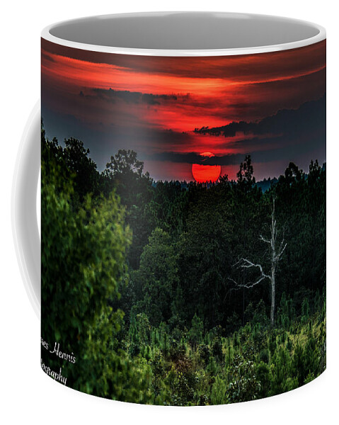 Animal Coffee Mug featuring the photograph Animal Sunset by Metaphor Photo