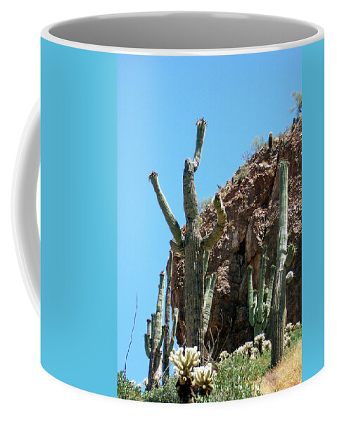 Cactus Coffee Mug featuring the photograph Animated Southwest Cactus 1 by Ilia -