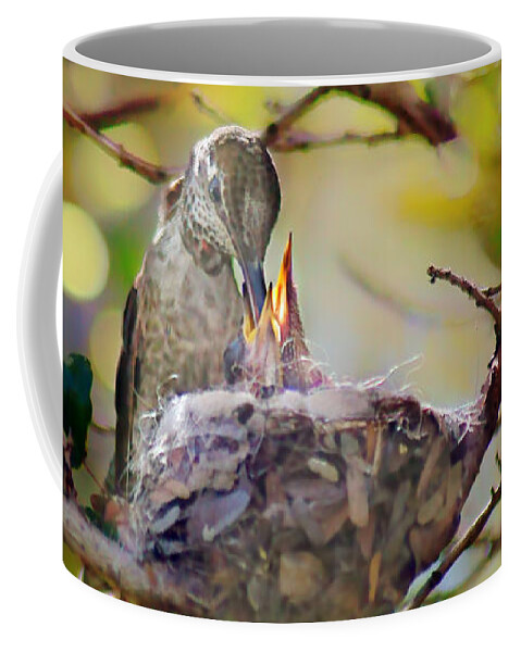 Birds Coffee Mug featuring the photograph Anna's Hummingbirds 2 - Nest by Nikolyn McDonald