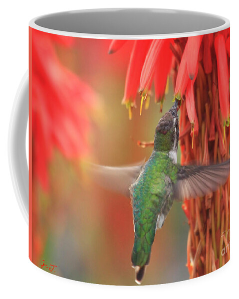 Annas Hummingbirds Coffee Mug featuring the photograph Annas Garden by John F Tsumas