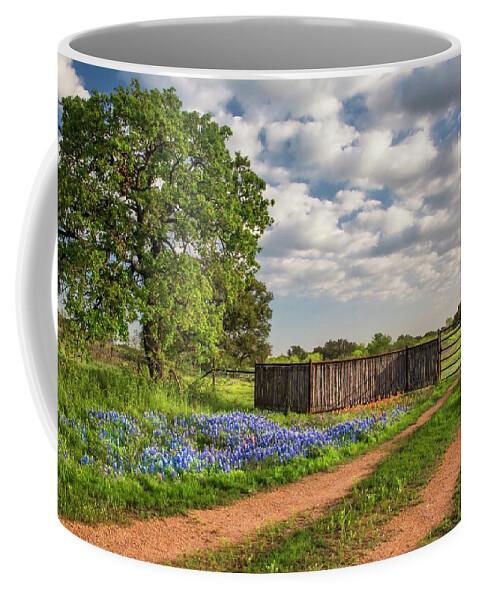 Texas Coffee Mug featuring the photograph Texas Bluebonnet Ranch Road by Harriet Feagin