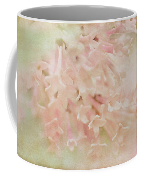 Connie Handscomb Coffee Mug featuring the photograph Anticipation by Connie Handscomb