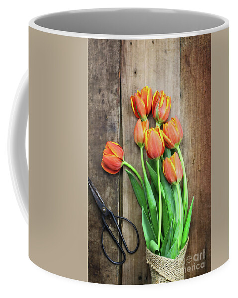 Tulips Coffee Mug featuring the photograph Antique Scissors and Bouguet of Tulips by Stephanie Frey