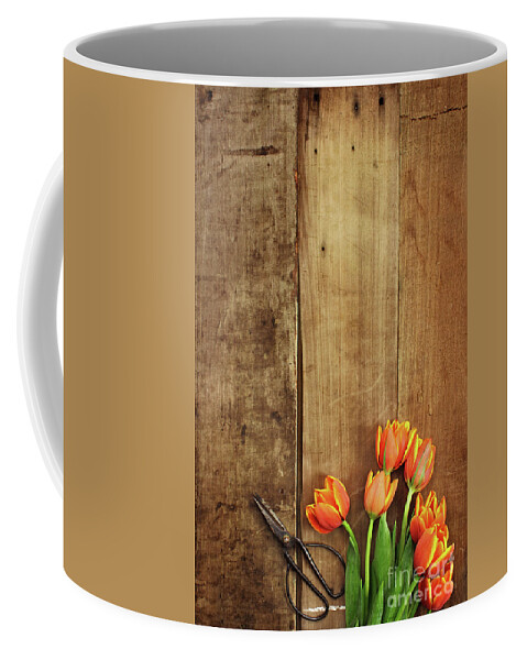 Tulips Coffee Mug featuring the photograph Antique Scissors and Tulips by Stephanie Frey