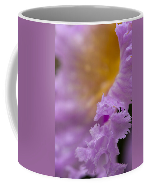 Apollo Coffee Mug featuring the photograph Apollo by Andreas Freund