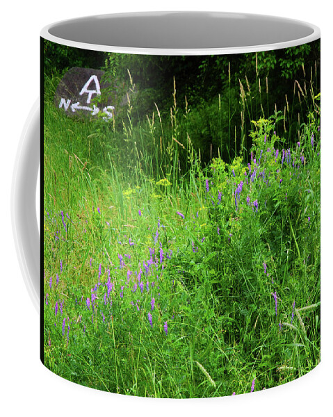 Connecticut Wildflowers Coffee Mug featuring the photograph Appalachian Trail Connecticut Wildflowers by Raymond Salani III