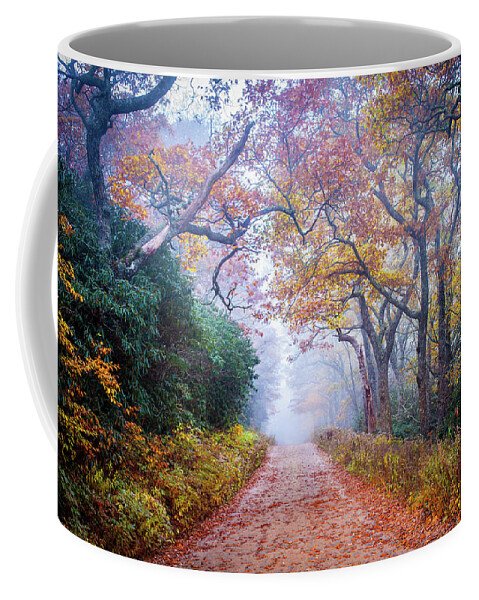 Sunrise Coffee Mug featuring the photograph Appalachian Trail NC Wayah Autumn Road by Robert Stephens