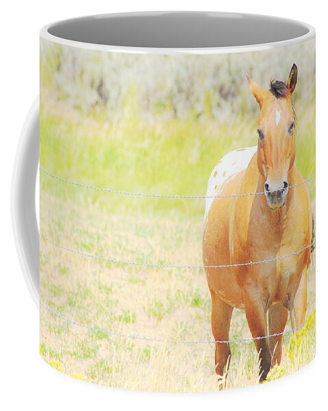 Horse Coffee Mug featuring the photograph Appaloosa by Merle Grenz