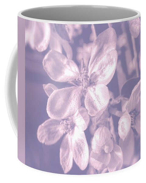 Apple Blossom Coffee Mug featuring the photograph Apple Blossom by Kathy Bassett