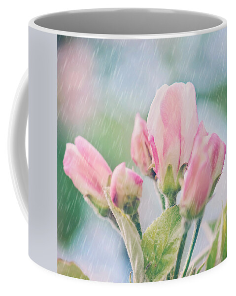 Apple Blossoms In The Rain Print Coffee Mug featuring the photograph Apple Blossoms in the Rain 12x12 Crop Print by Gwen Gibson