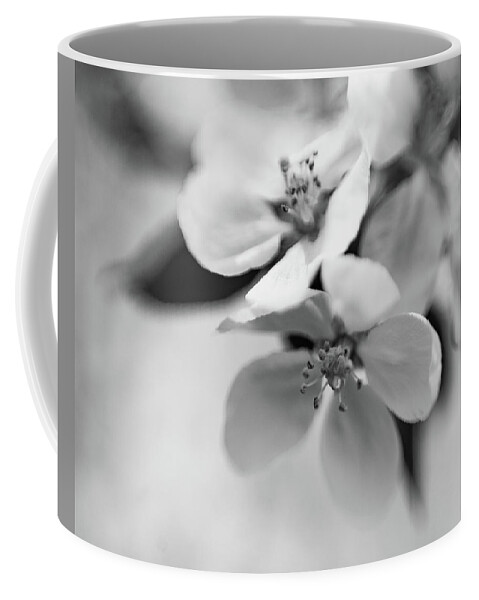 B&w Coffee Mug featuring the photograph Apple Blossoms by Pamela Taylor
