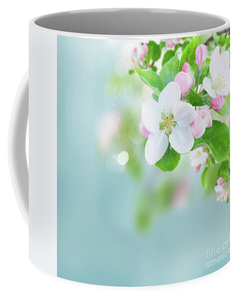 Blue Coffee Mug featuring the photograph Apple Tree Blossom II by Anastasy Yarmolovich