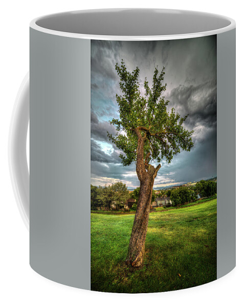 Abstract Coffee Mug featuring the photograph Apple Tree, Hillcrest Park by Jakub Sisak