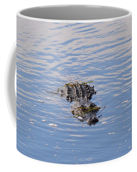 Approaching Gator Coffee Mug featuring the photograph Approaching Gator by Warren Thompson
