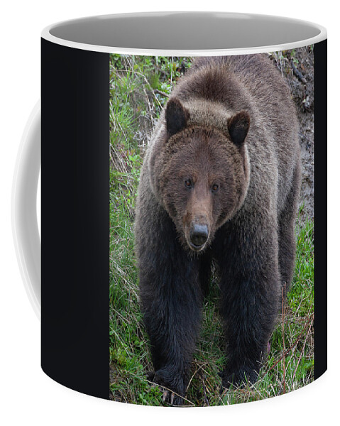 Mark Miller Photos Coffee Mug featuring the photograph Approaching Grizzly by Mark Miller