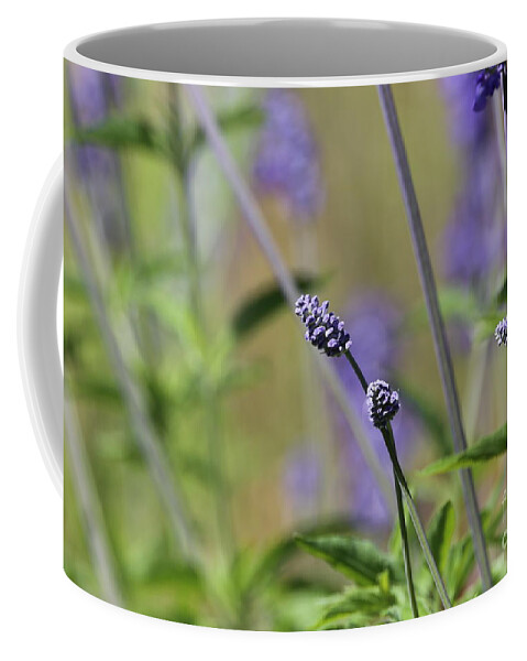 Flowers Coffee Mug featuring the photograph April garden by Sheila Ping