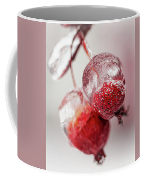 Awakening Coffee Mug featuring the photograph April Ice Storm Apples by Jakub Sisak