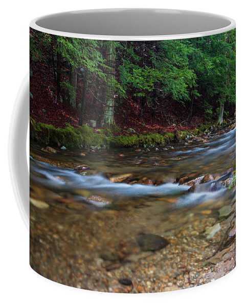 Long Exposure Coffee Mug featuring the photograph April Morning at Coxing Kill 2018 I by Jeff Severson