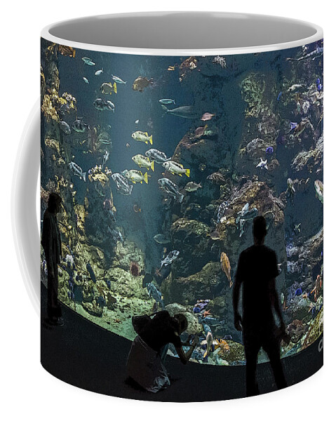 Aquarium Coffee Mug featuring the photograph Aquarium by Kate Brown