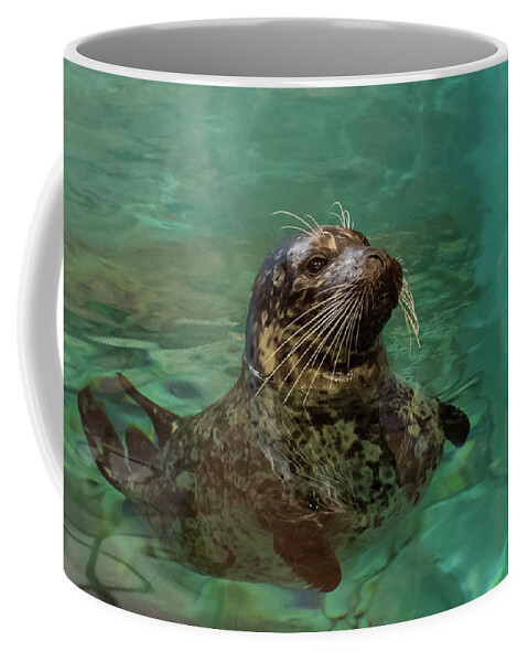 Terry D Photography Coffee Mug featuring the photograph Aquarium Seal by Terry DeLuco