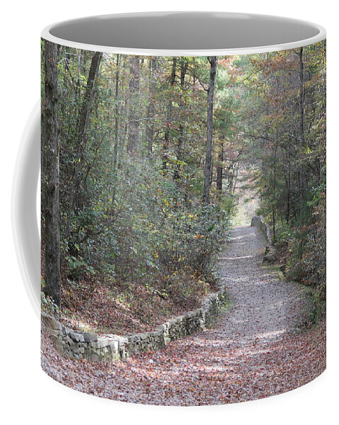 Path Coffee Mug featuring the photograph Arboretum Pathway by Allen Nice-Webb