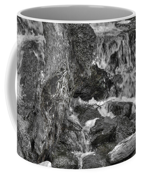 Water Coffee Mug featuring the photograph Arboretum Waterfall BW by Richard J Cassato