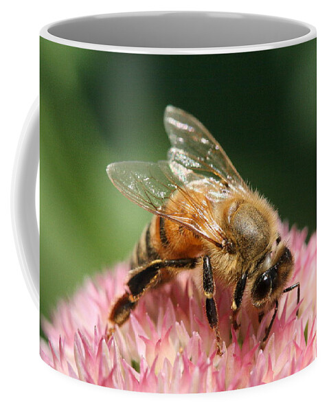 Bee Coffee Mug featuring the photograph Arched by Angela Rath