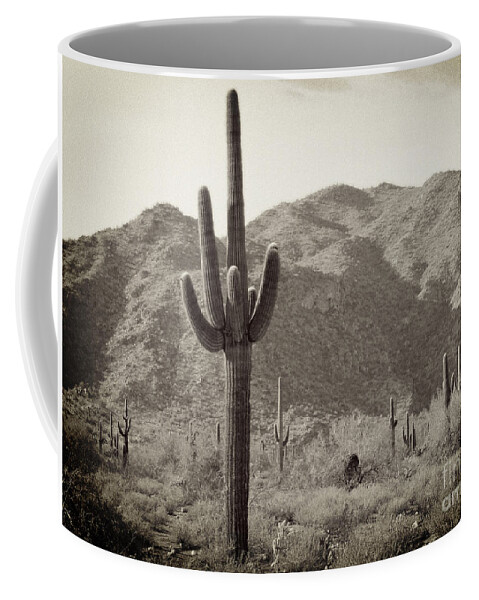 White Tank Sunset Coffee Mug featuring the photograph Arizona Desert by Two Hivelys