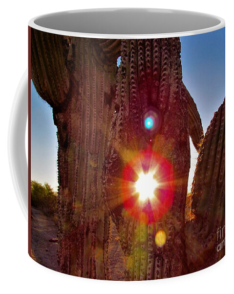 Photograph Coffee Mug featuring the photograph Arizona Prime Cactus Sunset by Delynn Addams