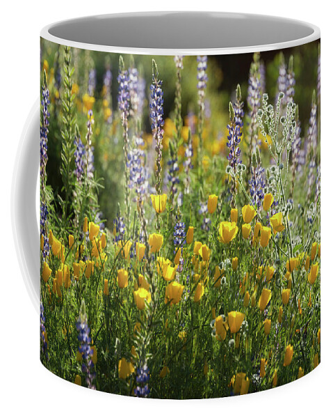 Poppies Coffee Mug featuring the photograph Arizona Spring Wildflowers by Saija Lehtonen