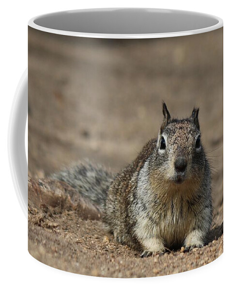Wild Coffee Mug featuring the photograph Army Crawl - 2 by Christy Pooschke